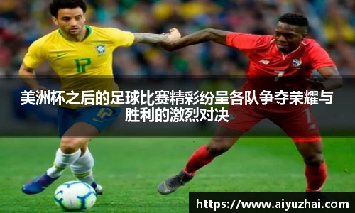 美洲杯之后的足球比赛精彩纷呈各队争夺荣耀与胜利的激烈对决