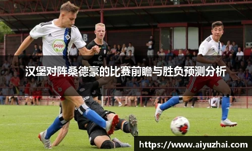 汉堡对阵桑德豪的比赛前瞻与胜负预测分析